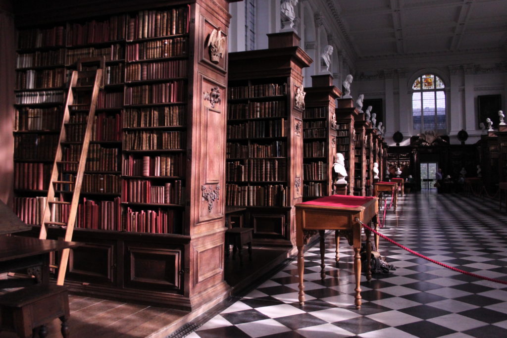 Library Cleaner and Collections Care Assistant
