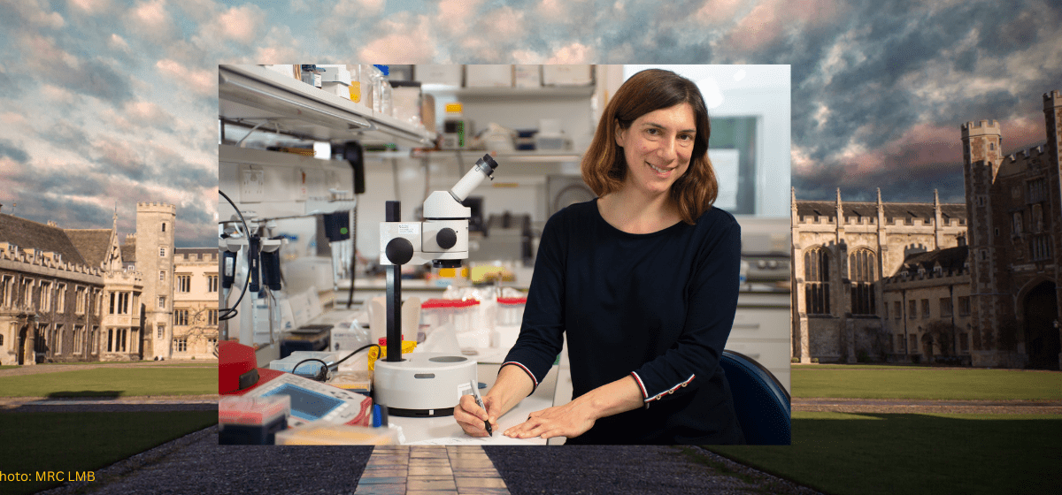 Trinity Fellow Professor Marta Zlatic elected to the Academy of Medical Sciences